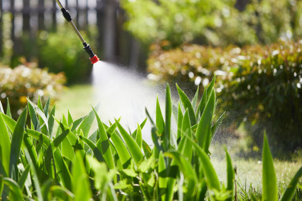 24/7 Emergency Mosquito Control experts in Ontario, OH