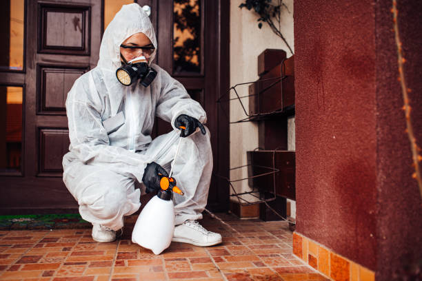 Reliable Mosquito Control contractor in Ontario, OH by Show Me Pest Control